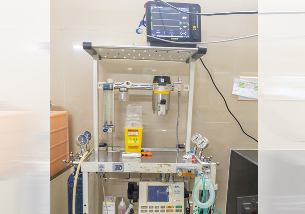 Anaesthesia monitor system